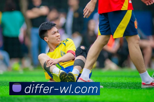 米兰体育平台生态图